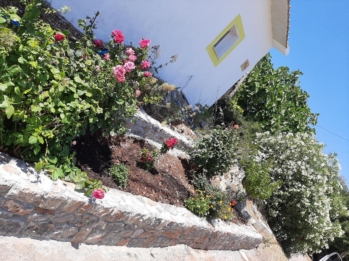 فيلا Lemon Garden 1 Karidi المظهر الخارجي الصورة